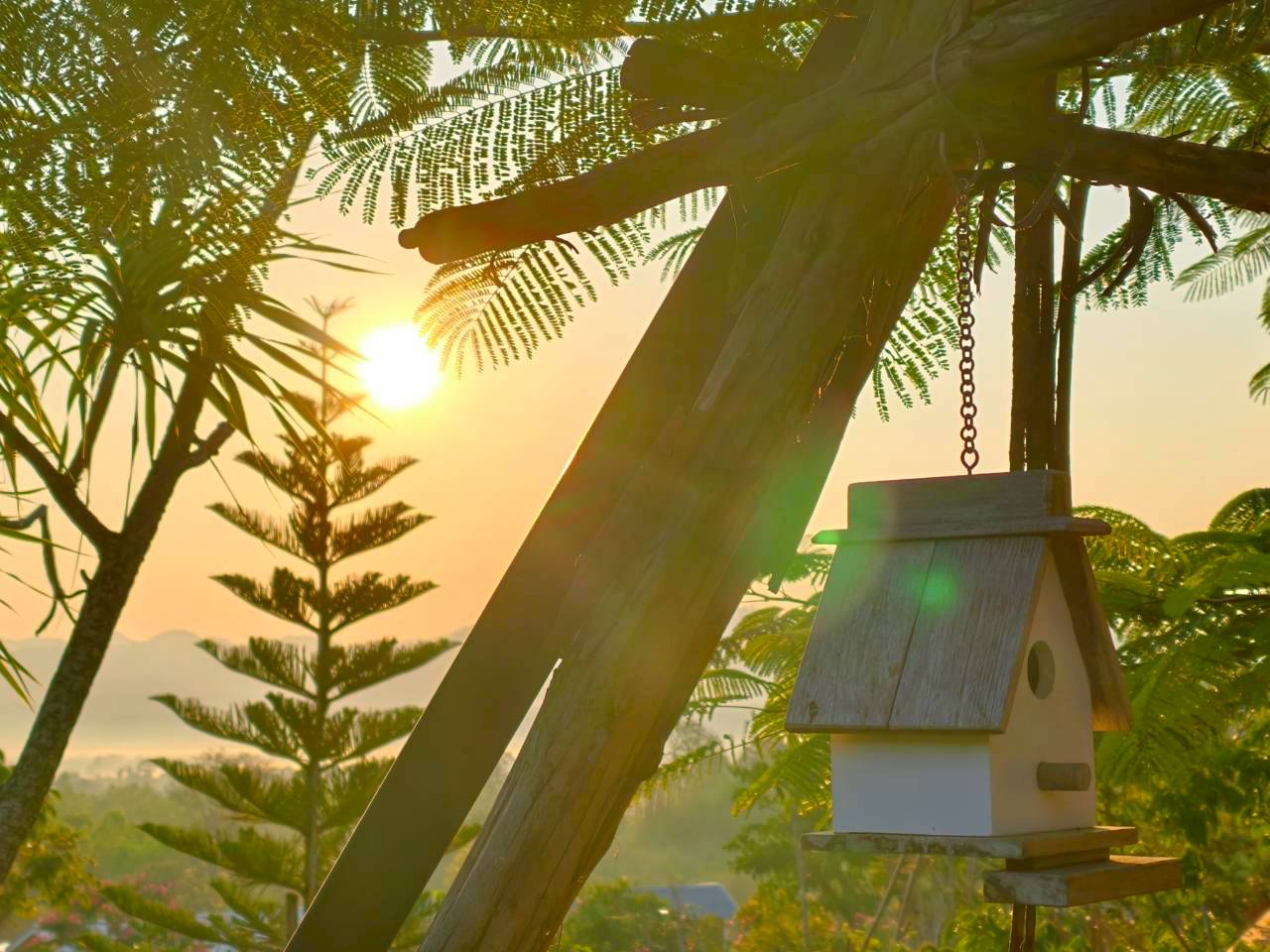 LINE_ALBUM_บ้านไร่โซน B_260125_8