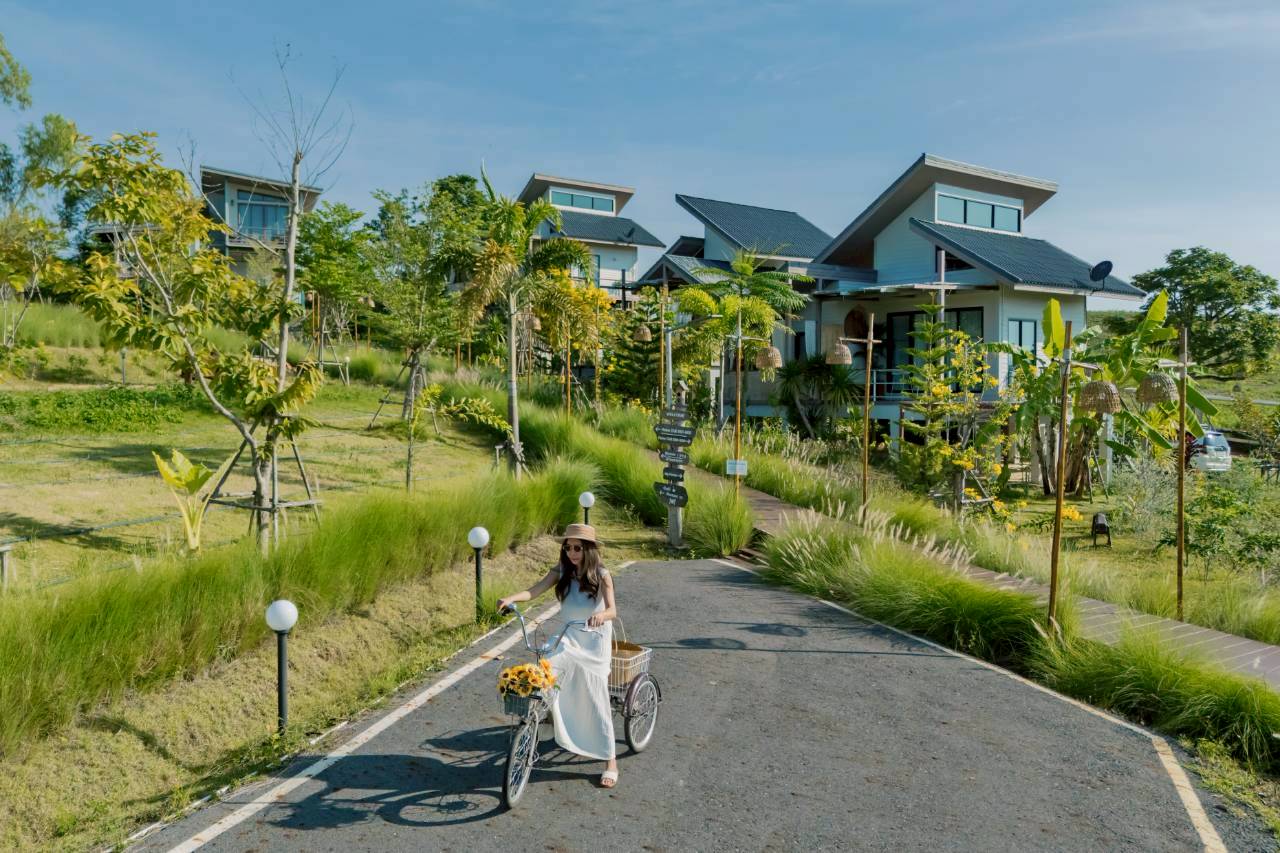 LINE_ALBUM_บ้านไร่โซน B_260125_85