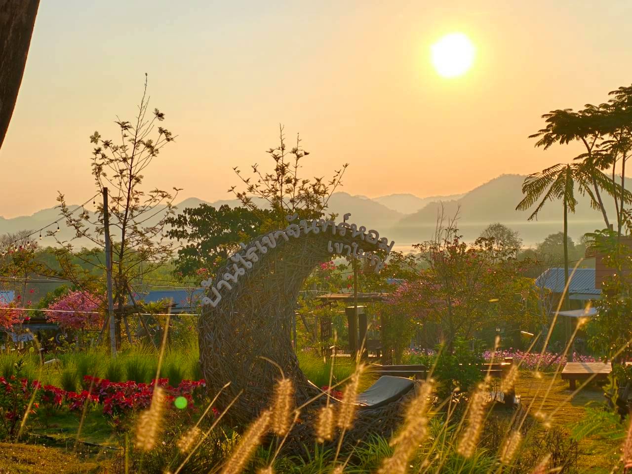 LINE_ALBUM_บ้านไร่โซน B_260125_9