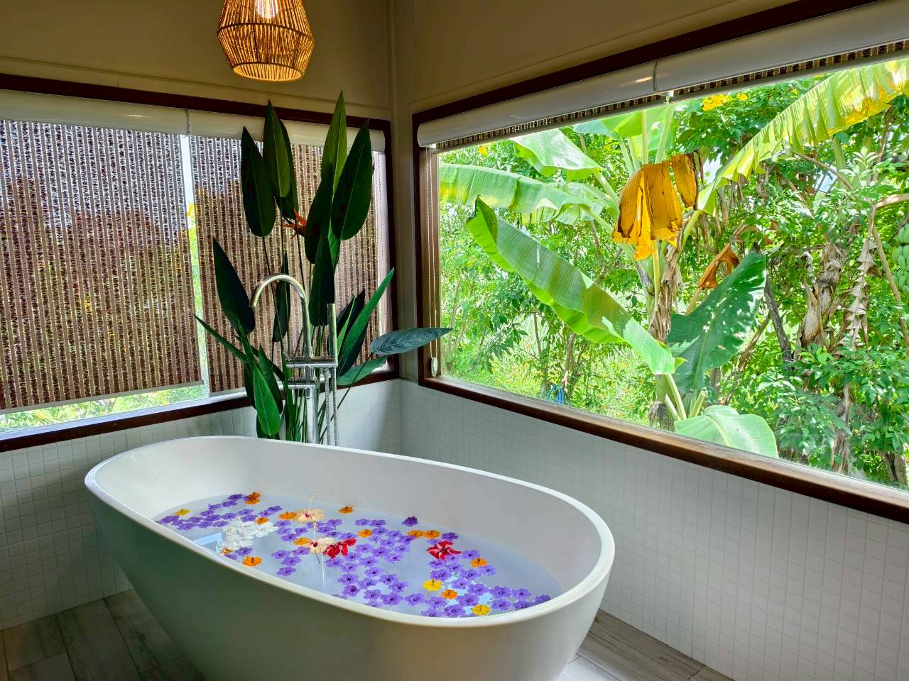 LINE_ALBUM_บ้านไร่โซน B_260125_93